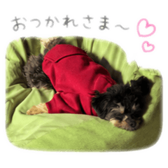 taishi_20260514215613