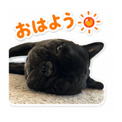 aditteru_20260514223011