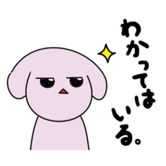 Acosuke_20260514223231