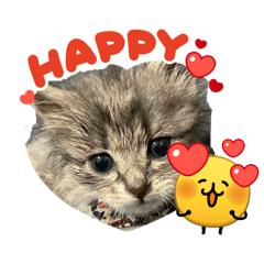 Hi_20260514223516