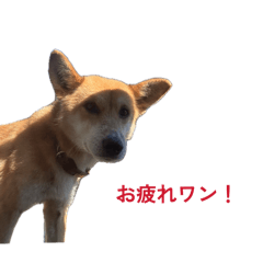 konpei_20260514223744