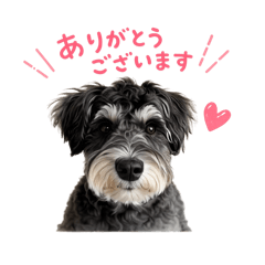 Momo_20260514223743