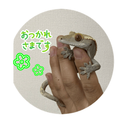 yuzuzu_20260514223738
