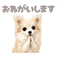DOG STAMP ORDER_20260518151210