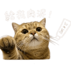 ㄉㄟˇㄉㄟˇ的日常ㄧ