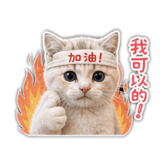 波尼是隻貓 社畜篇