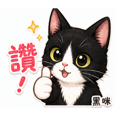 黑咪咪日常
