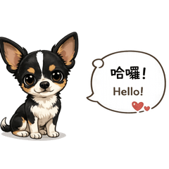 張阿妮&李阿語