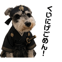Goodjob Schnauzer