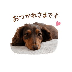 karin_20260514184250