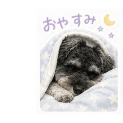 takaki_20260514185146