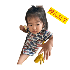 shioiri_20260514185313