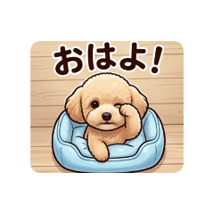 choco24_20260514185629