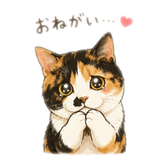 KUROMAME_CAT-WORLD