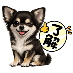 hirohiroponpon_20260514185136