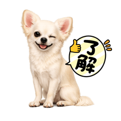 hirohiroponpon_20260514184542
