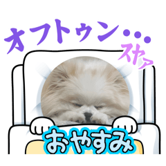 takuma_20260514224230