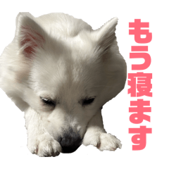 naka_20260514225118