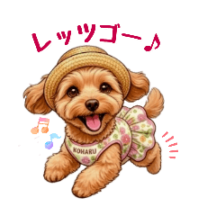 Timeless Daily Koharu Series 4