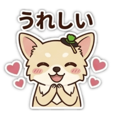 yuriko_20260514224333