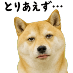 Human-Like Doggo
