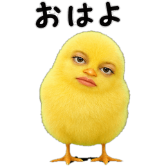 Straight-Faced Human-Chick
