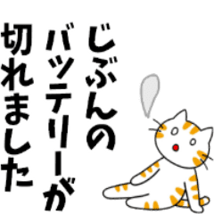 Honest Reaction Cat