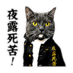 Yankee Cat Reaction Stickers 2