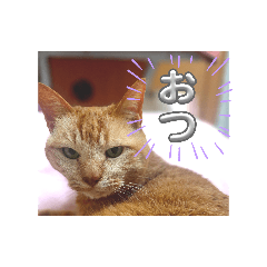 KEN_20260514230218