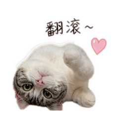 泡泡咪