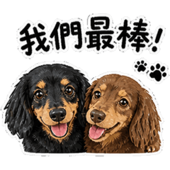 臘腸寶貝~拿鐵&馬尼