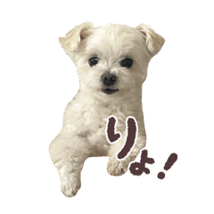 RuTaro_20260504150335