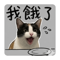 馬尼小皮蛋
