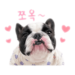pecco_20260503022628