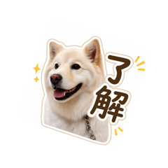 mofumofuzassyuken