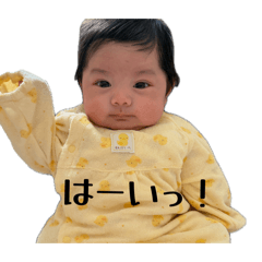 kaho_20260514185835