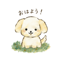hinako_20260514214853