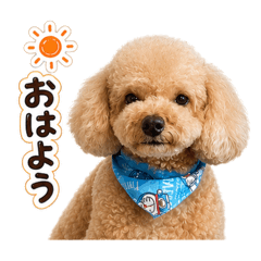 nagi_20260514223414