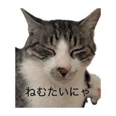 r_20260514232338