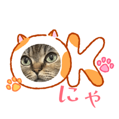 Iyashiko_20260514224311