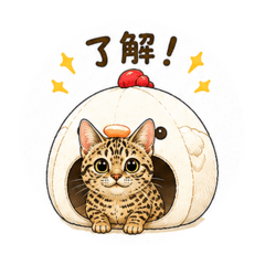 noa_20260514233052