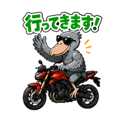 Shoebill Rider