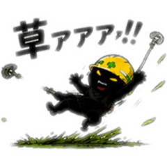 Peco_20260514232844