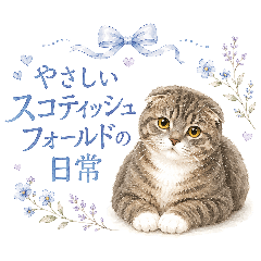 Gentle Scottish Fold Daily Stickers