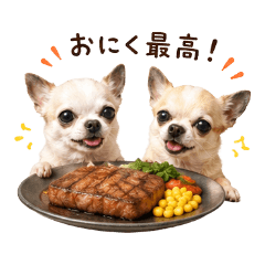 Expressing gourmet with Chihuahuas