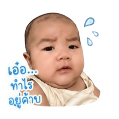 All P_20260428180210