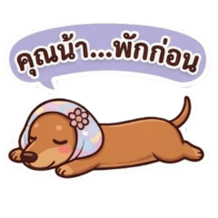 Pang Pang_20260428175921