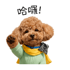 可愛狗狗U⁠ ⁠´⁠꓃⁠ ⁠`⁠ ⁠U