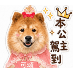 燦笑可頌公主