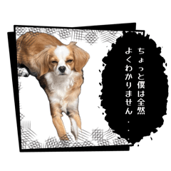 LatePaPa_20260504150720